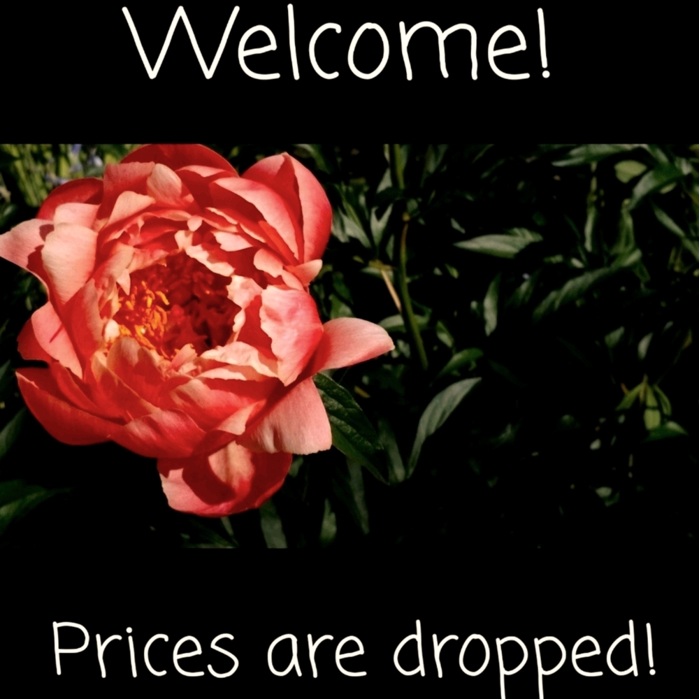 ❤ Make an OFFER, make a BUNDLE!